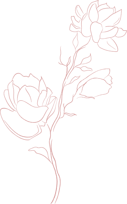 Inicio 9 jasmine flowers white 1.2 Converted