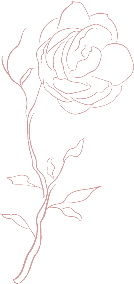 Inicio 16 jasmine flowers white 4.1 Converted